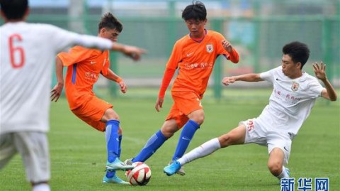 FM2026各队青训球员：从豪门璞玉到低联赛宝藏的青训完全指南